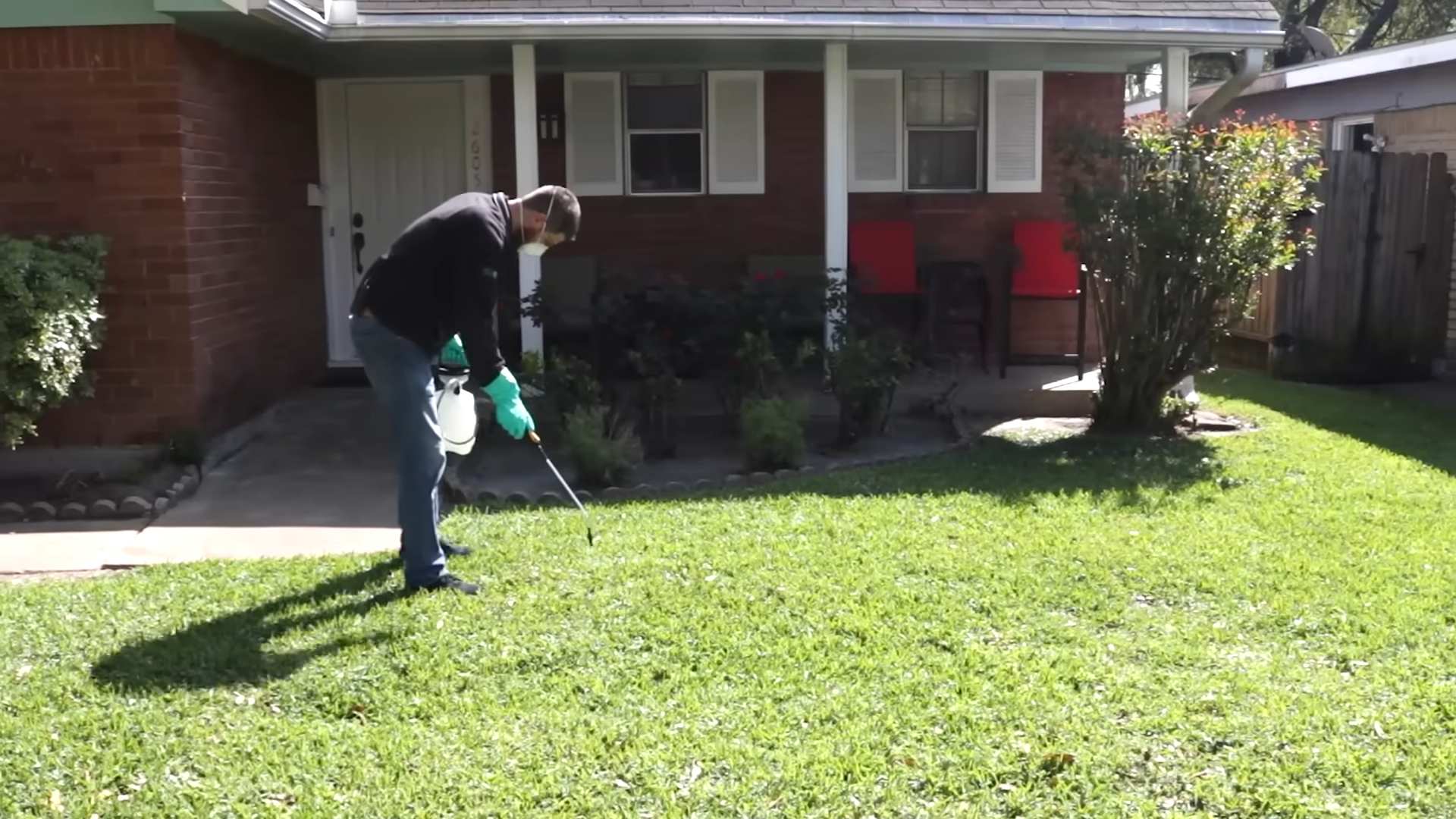 Garten Unkraut und Schädlinge bekämpfen