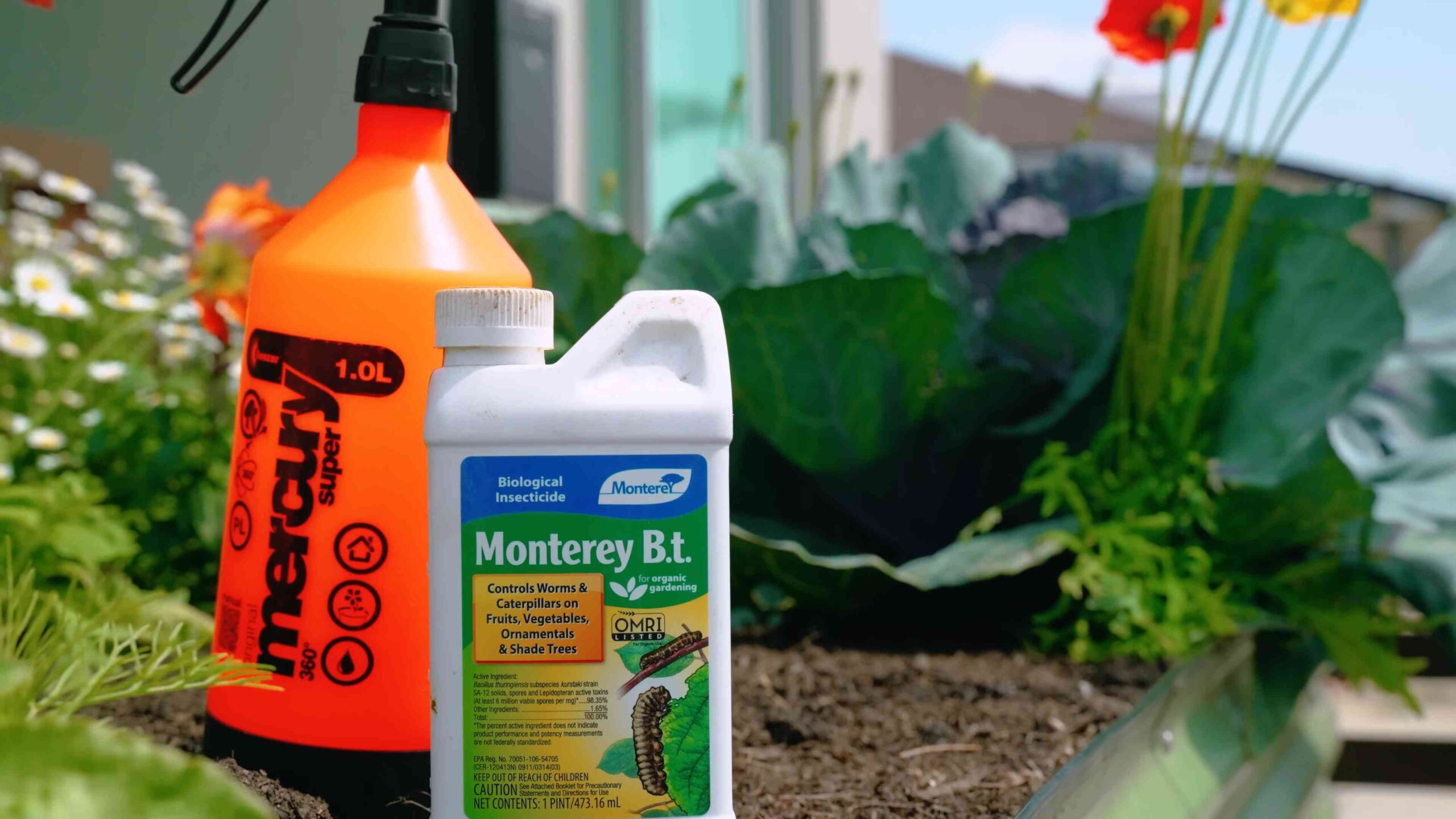 Garten Schädlinge bekämpfen