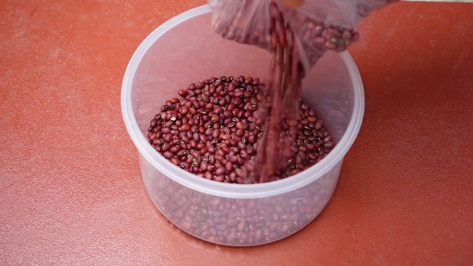 Bohnensprossen selber ziehen gesund