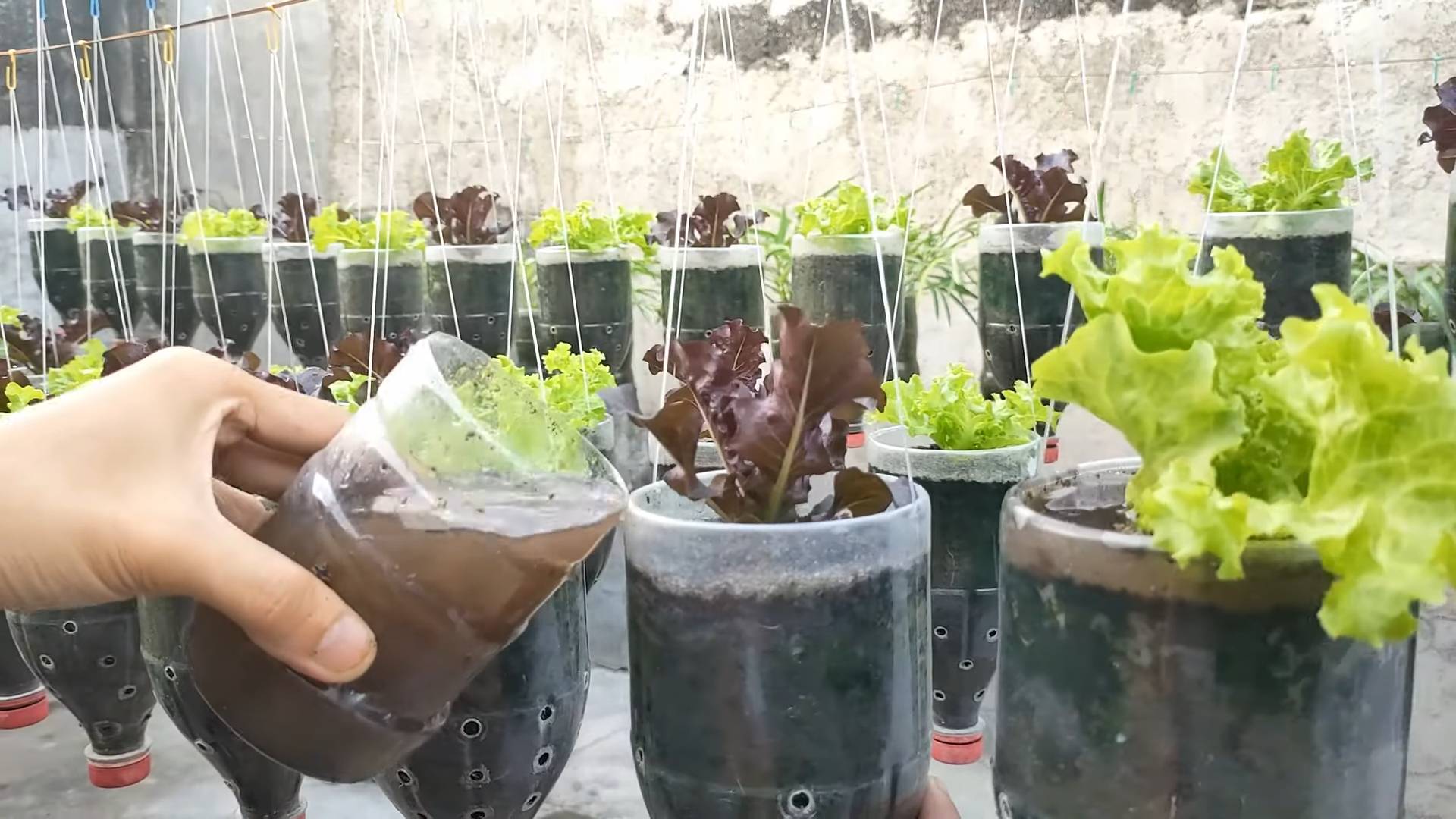 Kompost selber machen Garten